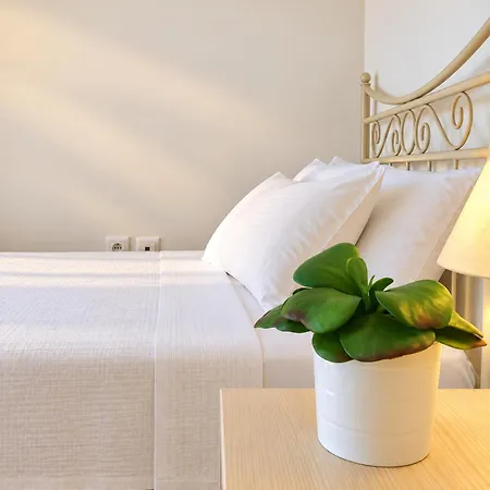 Mykonos Dot - The *